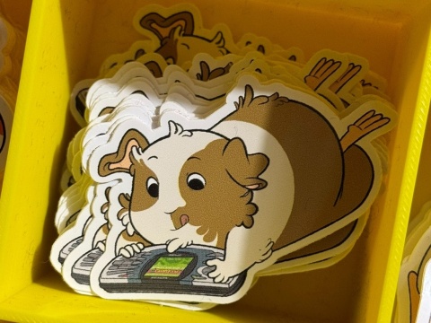 Wyprzedaż naklejek!